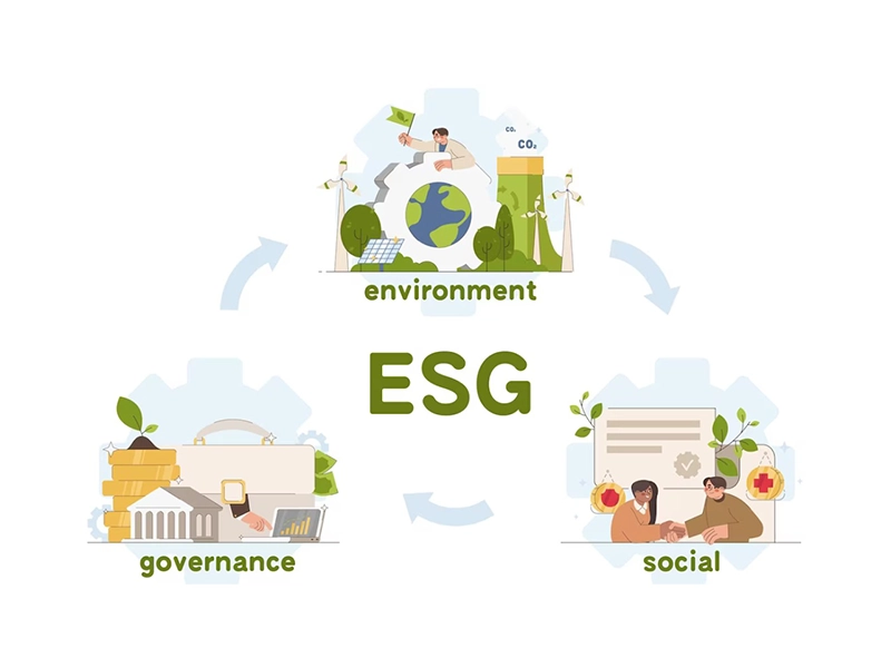 چرا انتخابهای پایدار، آینده مسئولیت اجتماعی را شکل میدهند؟