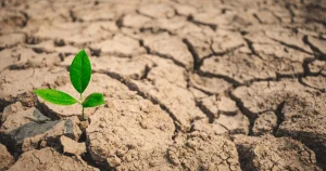 تاب‌آوری مدیریتی چیست؟ راهبردهای بقا و تصمیم‌گیری مدیران در شرایط عدم‌قطعیت