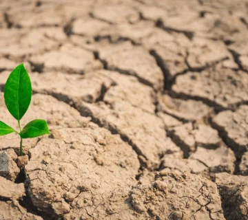 تاب‌آوری مدیریتی چیست؟ راهبردهای بقا و تصمیم‌گیری مدیران در شرایط عدم‌قطعیت